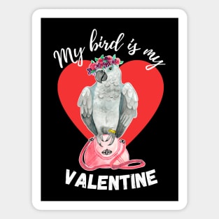 My Bird is My Valentine - African Grey Parrot Magnet